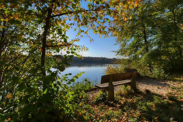 不懈努力 不懈努力