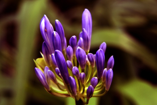 入汉茨科交 入汉茨科交