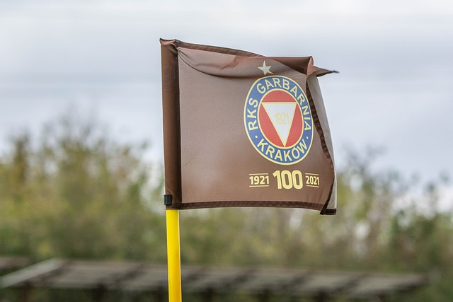 优化与动态 优化与动态