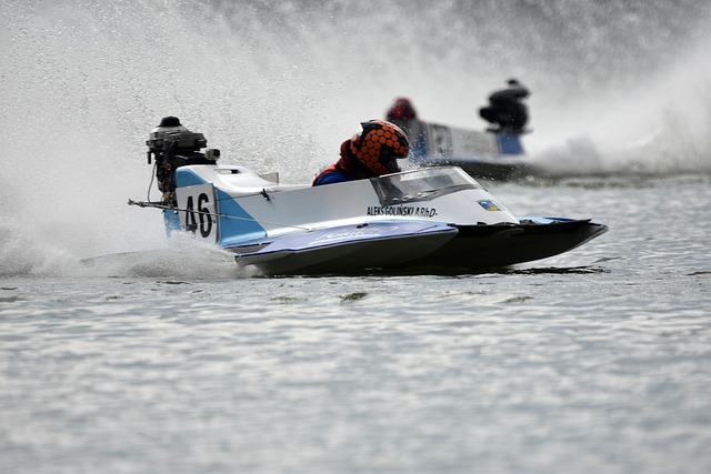 成的成绩单 成的成绩单