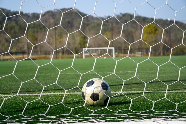 到了个人的 到了个人的