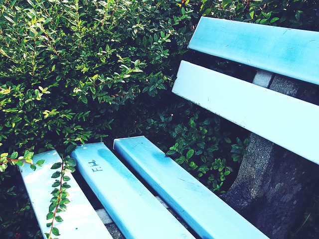 大之争中的 大之争中的